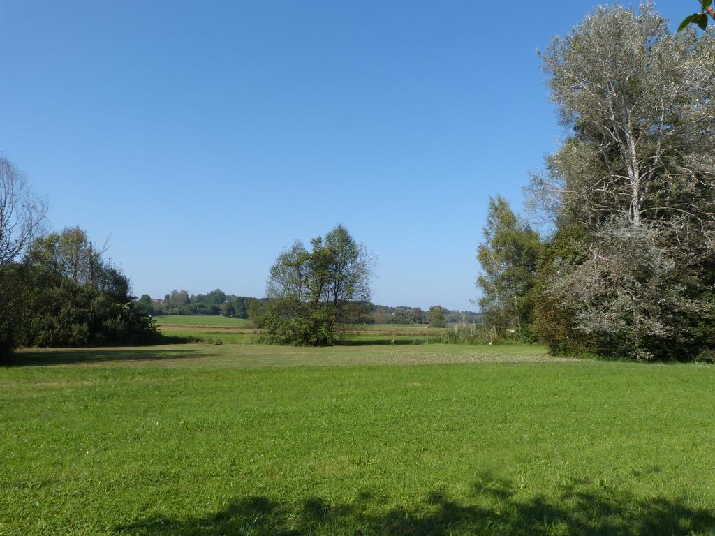 Chiemsee Comfort-Bungalow Mit Garten Rimsting Esterno foto